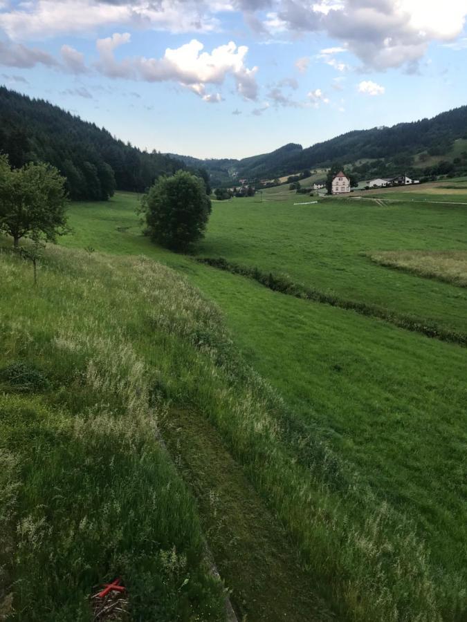 Ferienwohnung Hesselbach 奥伯基希 外观 照片